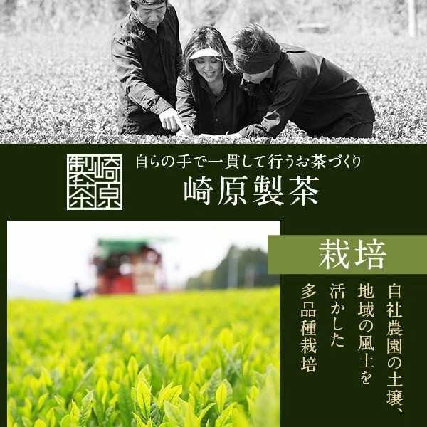 2種ティーパックセット 煎茶（川内ほまれ 紫）・玉露 計24パック