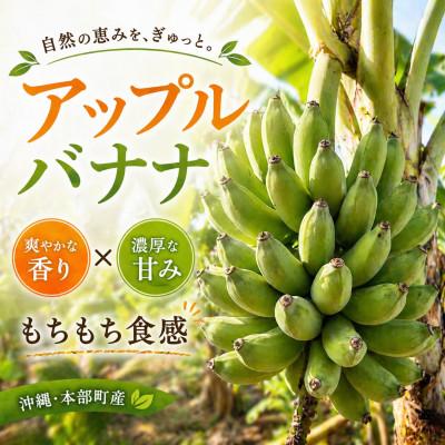 ふるさと納税 本部町 トウメファームが大切に育てた本部町産のアップルバナナ1.5kg〜2.0kg(1房〜2房) |  | 01