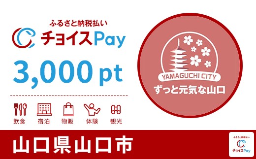 
            山口市チョイスPay 3,000pt【会員限定のお礼の品】
          