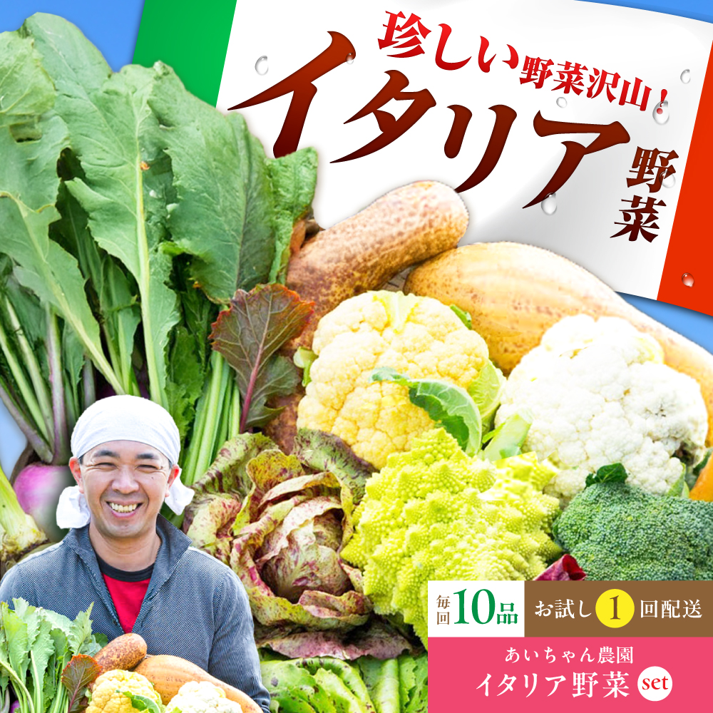【10品】あいちゃん農園の「イタリア野菜」セット（レギュラー） [FAA017]
