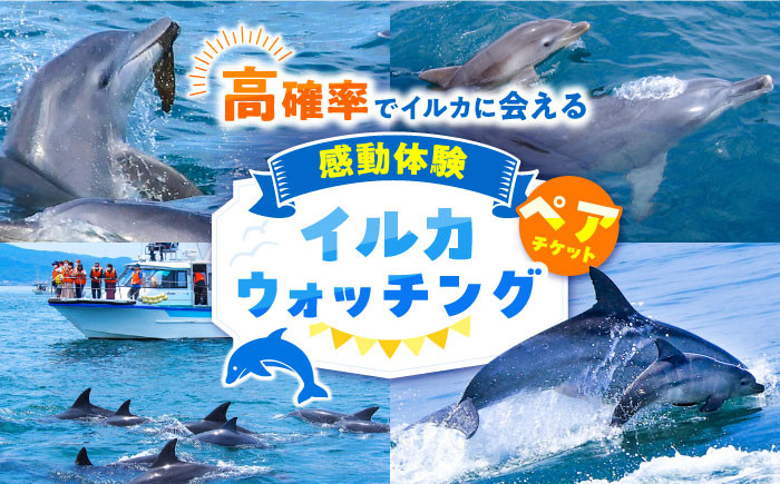 
            南島原 イルカウォッチング ペア チケット / チケット ちけっと 体験型 観光チケット いるか イルカ イルカ体験 貸し切り いるか イルカ / 南島原市 / 南島原イルカウォッチング [SAE001]
          