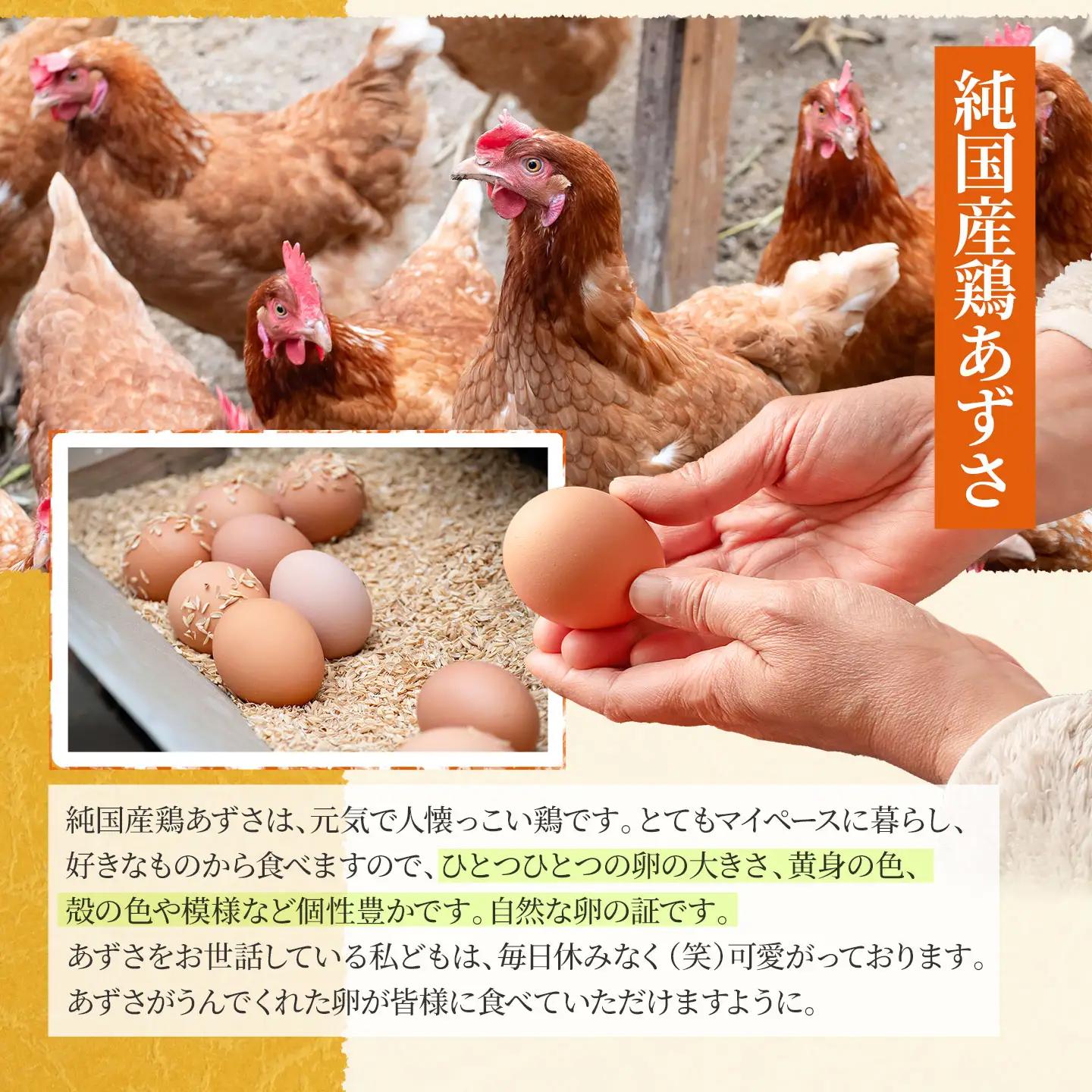 純国産鶏あずさの平飼い卵 40個 (フリーサイズ) 山形県鶴岡市 おーぼ | 卵 たまご タマゴ 玉子 鶏卵 平飼い卵 自然卵 生卵 卵かけご飯 たまごかけご飯 卵かけごはん たまごかけご飯 卵料理 