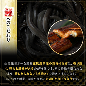 国産うなぎ（鹿児島県産うなぎ）うなぎ蒲焼 4尾 約640g と肝串5本付き！【数量限定】【00-025-12】
