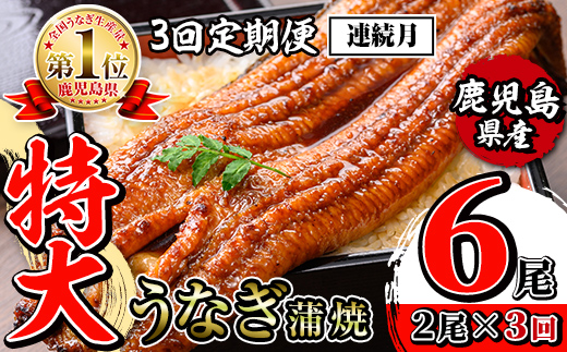 i1172-A ＜定期便・計3回(連続月)＞＼特大サイズ／鹿児島県産 うなぎ蒲焼 2尾セット＜（約220g×2・計約440g）×全3回＞ 定期便 たれ 山椒付きうなぎ 鰻 ウナギ 特大 特大サイズ 約