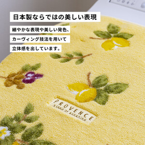 プロヴァンス シエル フタカバー イエロー 抗菌防臭 おしゃれ かわいい 洗える ボタニカル ドレニモ 洗浄暖房型 普通型 兼用 トイレ フタ 風水