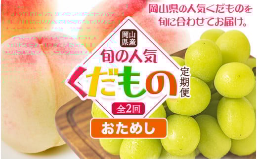 【先行予約】岡山県産 旬の 人気 くだもの おためし 定期便 全2回 桃 合計1kg（3～5玉前後） シャインマスカット 約650g(1房) 《7月上旬-11月中旬頃出荷》フルーツ 果物 定期便 お取り寄せ デザート 送料無料