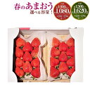 【ふるさと納税】＜予約＞【選べる 容量】春のあまおう 合計約1000～1080g／1500～1620g 1パック約250～270g 4パック／6パック 2L・2A・G規格以上 【2025年3月上旬～4月下旬発送予定】 あまおう いちご 旬 果物 フルーツ 福岡県産 冷蔵配送 送料無料