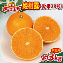 【ふるさと納税】 愛果28号 3kg 家庭用 姫柑露 南四国ファーム mikan 高級 ブランド 限定 品種 甘い ゼリー プルプル 果物 くだもの フルーツ 柑橘 蜜柑 みかん 国産 愛媛 宇和島 産地直送 農家直送 数量限定 B012-035011