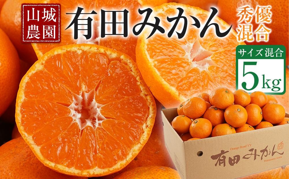 
                  【高評価】山城農園 和歌山県産 有田みかん 5kg 甘くて濃厚！混サイズ 農園直送  人気No.1 口コミ多数！
                