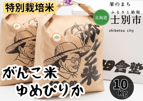 【北海道士別市】（※予約受付※）田舎塾特別栽培米 「がんこ米ゆめぴりか」10kg