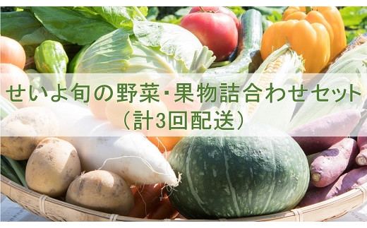 
せいよ旬の野菜・果物詰合わせセット　月1回3か月（計3回配送）
