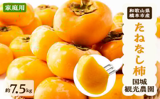 たねなし柿は種のない柿なのでとっても食べやすく、甘くてジューシーです。