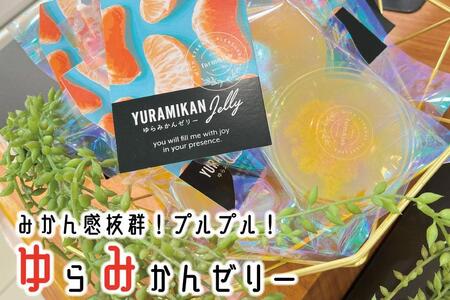 旬の2個入りゼリー21袋 みかんの美味しさぎゅっと詰めました