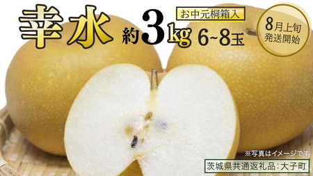 【 お中元 桐箱入り 】 幸水 約3kg (6～8玉)【2026年8月上旬発送開始】(茨城県共通返礼品：大子町)