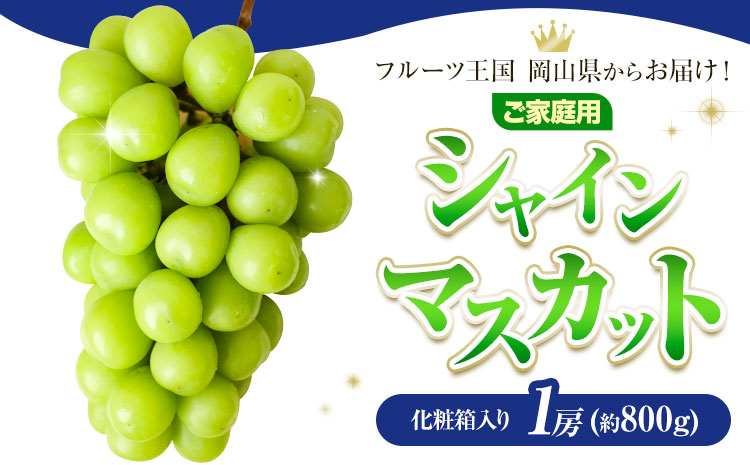 ご家庭用 フルーツ王国 岡山県産 シャインマスカット 化粧箱入り 1房 Lino ＆ Kai Farm《2026年10月上旬-11月中旬頃出荷》マスカット 送料無料 岡山県 浅口市 シャインマスカット