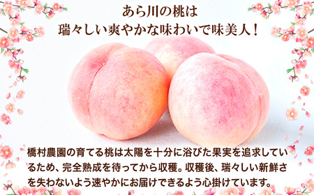 ブランド桃 あら川の桃 大玉3個入り