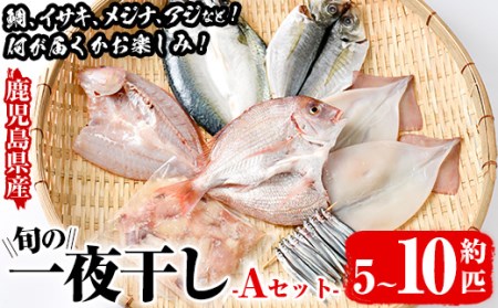 数量限定！阿久根市産の旬の一夜干しグルメ＜A＞セット(鯛・アジ・イカ・サバなど)国産 鮮魚 詰め合わせ お楽しみ 海の幸 魚介類 干物 海鮮【さるがく水産】akn028-06