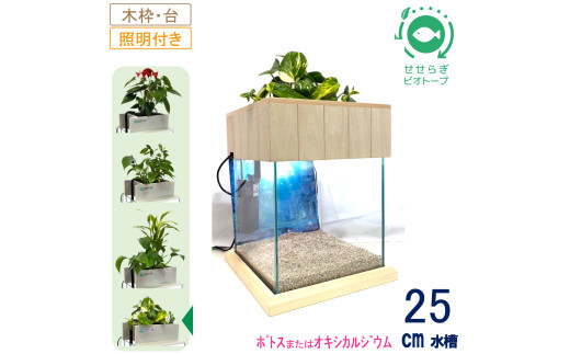 せせらぎビオトープ　25cm型照明+木枠台セット（ポトスorオキシカルジウム）