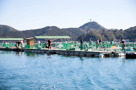 【P02】海上釣り堀貞丸の無料招待券