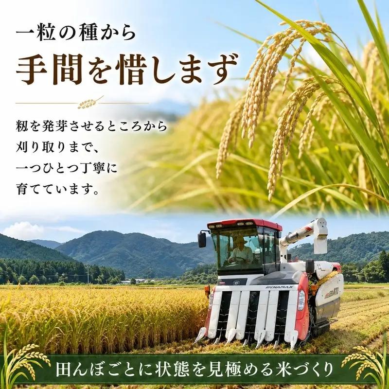 米 コシヒカリ 新米 10kg 一等米 米