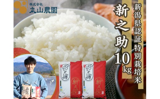 【令和8年産新米予約】【新潟県認証米】 10kg (5kg×2袋) 特別栽培米 新之助 阿賀野市産 丸山農園 米 こめ コメ 白米 精米 新米 新米予約 令和8年産 10月中旬より順次発送予定 3F04027