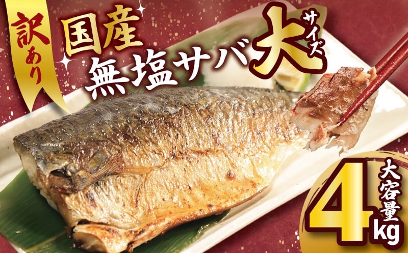 
            訳あり 国産 無塩さば フィーレ 4kg 大サイズ 1枚170g さば 鯖 魚 海鮮 魚介類 シーフード フィレ 切身 切り身 無塩 不揃い 規格外 傷 冷凍 食品 小分け おかず 惣菜 おつまみ 弁当 人気 グルメ  お取り寄せ 贈り物 贈答 ギフト プレゼント 長期保存 ふるさと納税 ふるさと納税サバ 送料無料 11000 11000円 千葉県 銚子市 大國屋
          