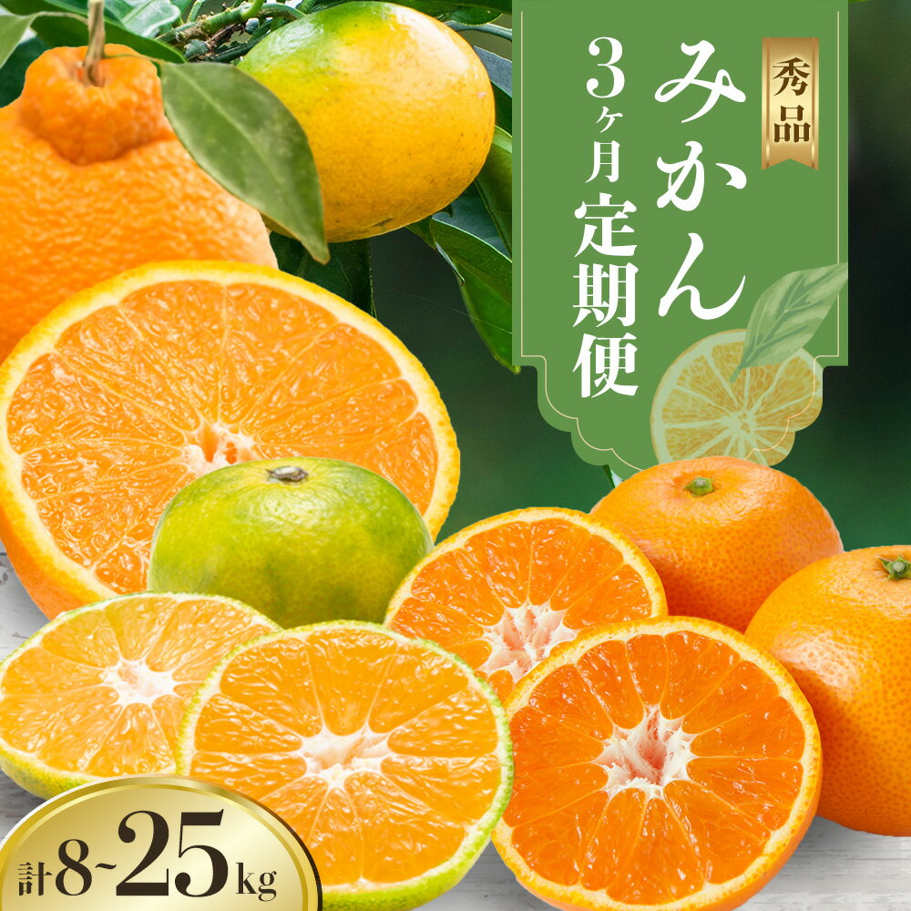 【ふるさと納税】秀品 みかん 3ヶ月 定期便 選べる 内容量 日本フルーツ株式会社《2025年10月上旬-12月末頃出荷》熊本県 長洲町 極早生みかん 温州みかん 葉付き 不知火 果物 フルーツ スイーツ デザート ギフト ご贈答