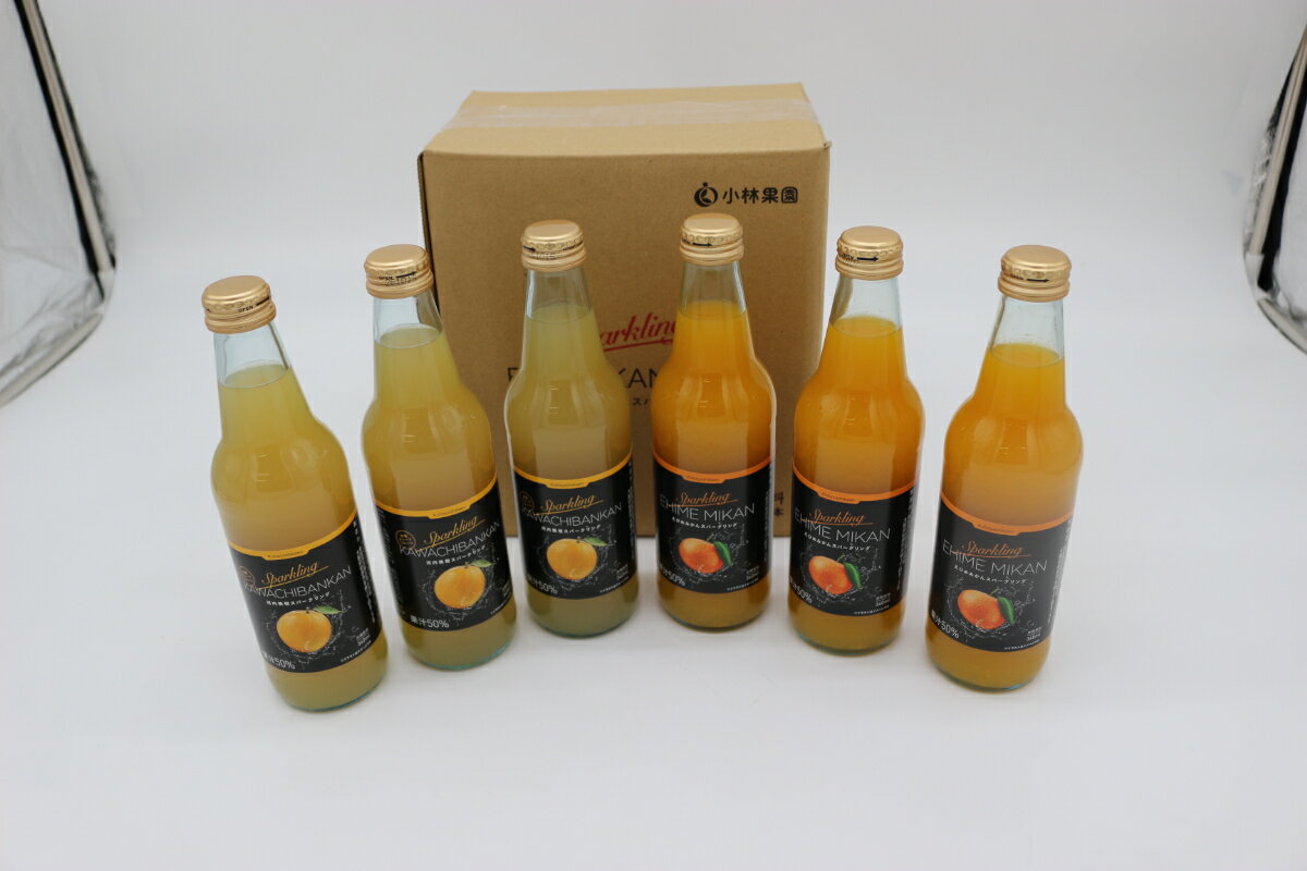 【ふるさと納税】小林果園の柑橘スパークリングジュースセット(2品種・計6本)【C24-28】_ 柑橘 みかんジュース ジュース 果物 飲料 フルーツ ふるーつ 飲み比べ セット 甘い ジューシー 産直 産地直送 旬 柑橘類 人気 愛媛 【1233619】 YWTAD021
