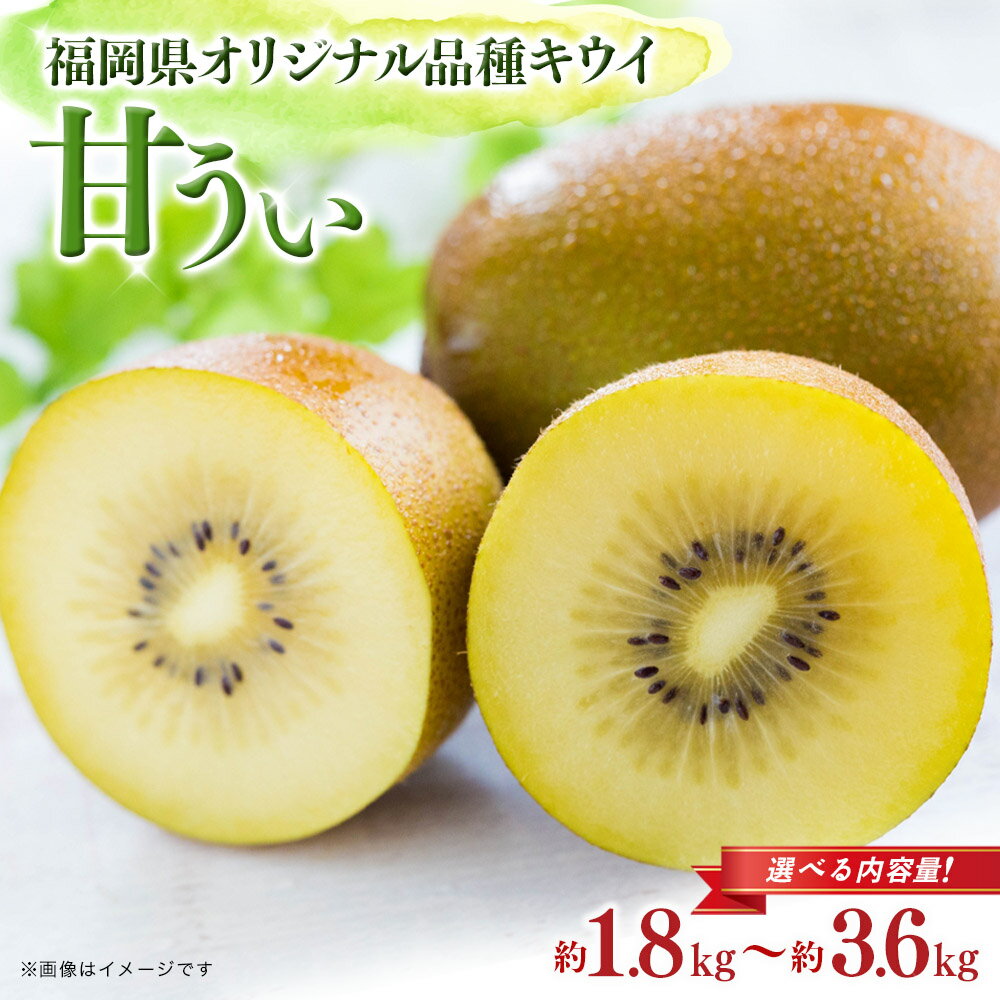 【ふるさと納税】【先行受付：2025年11月頃発送開始】選べる内容量！福岡限定品種キウイ「甘うぃ」約1.8kg〜約3.6kg＜配送不可：北海道・沖縄・離島＞ 先行受付 キウイ キウイフルーツ フルーツ 果物 くだもの 甘い 高糖度 希少 オリジナル品種 新品種 新ブランド 全国1位