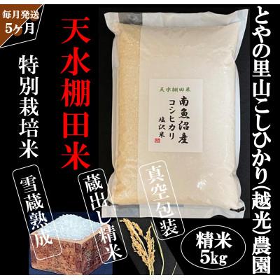 ふるさと納税 南魚沼市 【毎月定期便】とやの里山継承プロジェクト対象【天水棚田米】雲海望む山間地産こしひかり精米5kg全5回