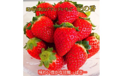 
                  紀州和歌山ブランドいちご「紀の香」約250g×4P ［UT143］
                