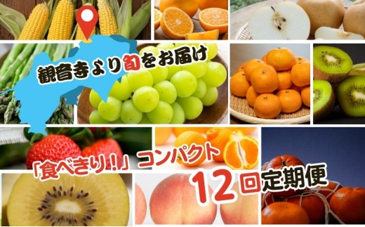 
                  フルーツ 定期便 全12回 野菜 香川県産 讃岐 キウイ香緑 さぬきひめ苺 いちご しらぬひ アスパラガス 甘夏柑 スイートコーン 桃 梨 シャインマスカット 柑橘 香川県 観音寺市
                