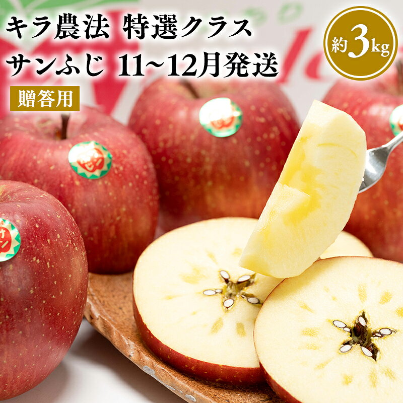 【ふるさと納税】≪11月〜12月配送≫青森県産 キラ農法 贈答用 特選クラス サンふじ 約3kg【青森県 平川市 夢ファクトリー】完熟りんご