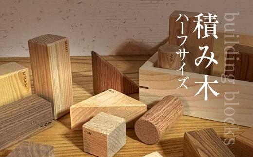 
                  積み木（ハーフサイズ　全14ピース　木箱入り） ふるさと納税 木 木材 木工 小物 インテリア 天然素材 おもちゃ 玩具 積み木 木製 無塗装 安全 ブロック 子ども 赤ちゃん 千葉県 大網白里市 AO017
                