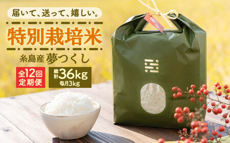 【全12回定期便】とくべつの中のとくべつ 特別栽培米 3kg 夢つくし 吉富町/(株)やました[BGBX004]