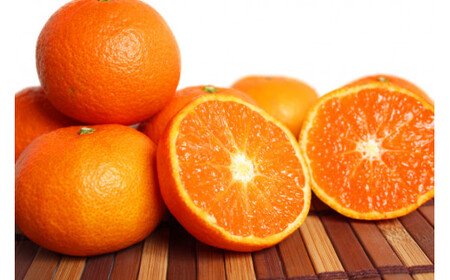 津之輝(つのかがやき)　5kg【予約】※2027年1月下旬頃〜2027年2月上旬頃に順次発送予定(お届け日指定不可)【uot761】