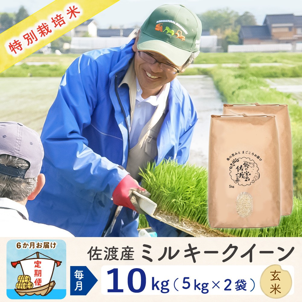 【令和8年産新米 6ヶ月】佐渡島産ミルキークイーン 玄米 10kg 特別栽培米195962-4344