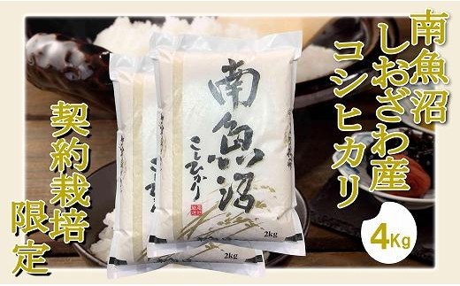 【令和8年産　新米予約】【精米4Kg】契約栽培限定 南魚沼しおざわ産コシヒカリ【銘柄米 ブランド米 精米 こしひかり コシヒカリ 魚沼産 新潟米 産地直送 お米 米 こめ コメ】【2026年10月上旬から1ヶ月以内に順次発送予定】