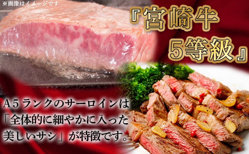 【A5】宮崎牛サーロインステーキ4枚_MB-0135