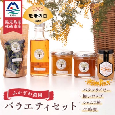 【敬老の日】日本ミツバチの生蜂蜜・梅シロップ・ジャム2種・バタフライピー　BB-2004K【配送不可地域：離島】【1531206】