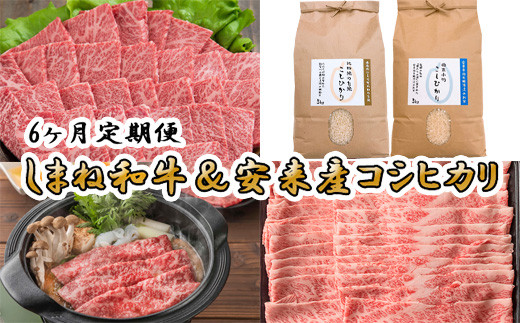 
【定期便】しまね和牛&安来市産コシヒカリ6ヵ月便 令和6年産【新米 カルビ 肩バラ モモスライス 焼肉 すき焼き しゃぶしゃぶ お米 おいしい ご当地】
