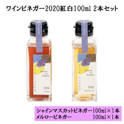 ワインビネガー2020紅白100ml 2本セット【1_1-057】