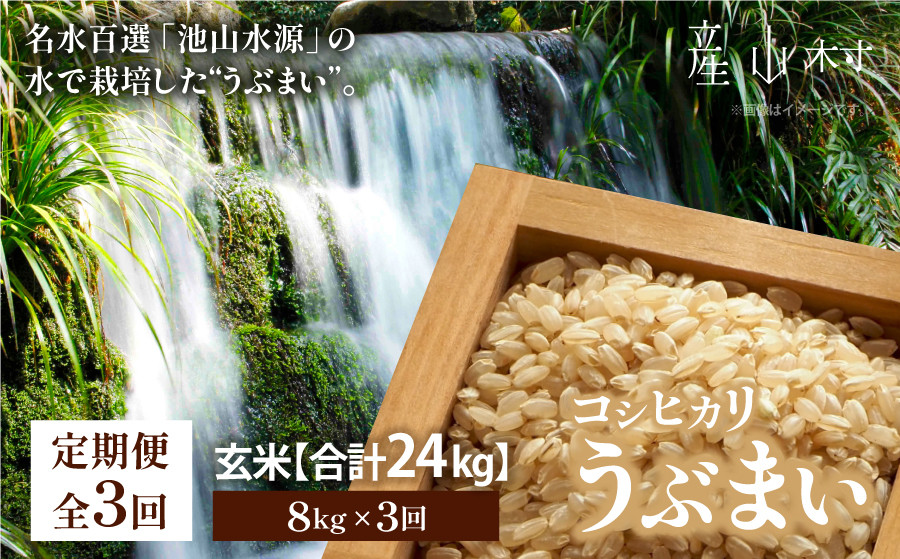 
【令和6年産新米定期便3回】うぶまい(コシヒカリ　玄米)8kg〈阿蘇の名水　池山水源米〉
