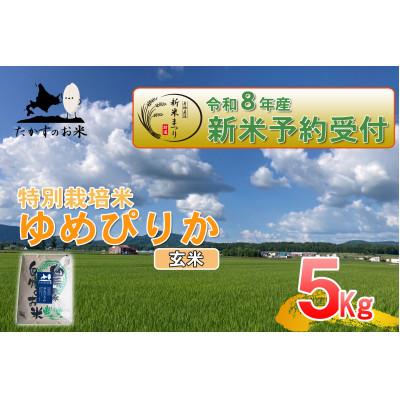 ふるさと納税 鷹栖町 【令和八年産新米予約】たかすのお米「特別栽培米 ゆめぴりか」5kg(玄米)