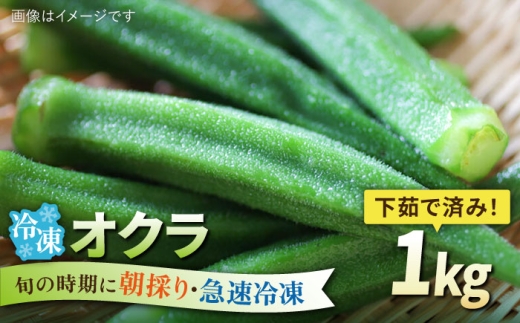 オクラ 1kg 冷凍 旬の時期に急速冷凍 【福岡県糸島産】 糸島市 / オーガニックナガミツファーム 野菜 おくら [AGE054]
