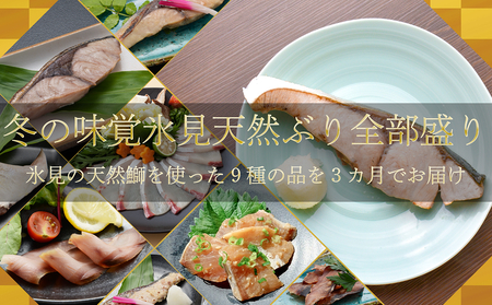 【3回定期便】冬の味覚氷見天然ぶり全部盛り ＜2025年12月以降順次発送＞  寒ぶり 限定 鰤 富山県 氷見市