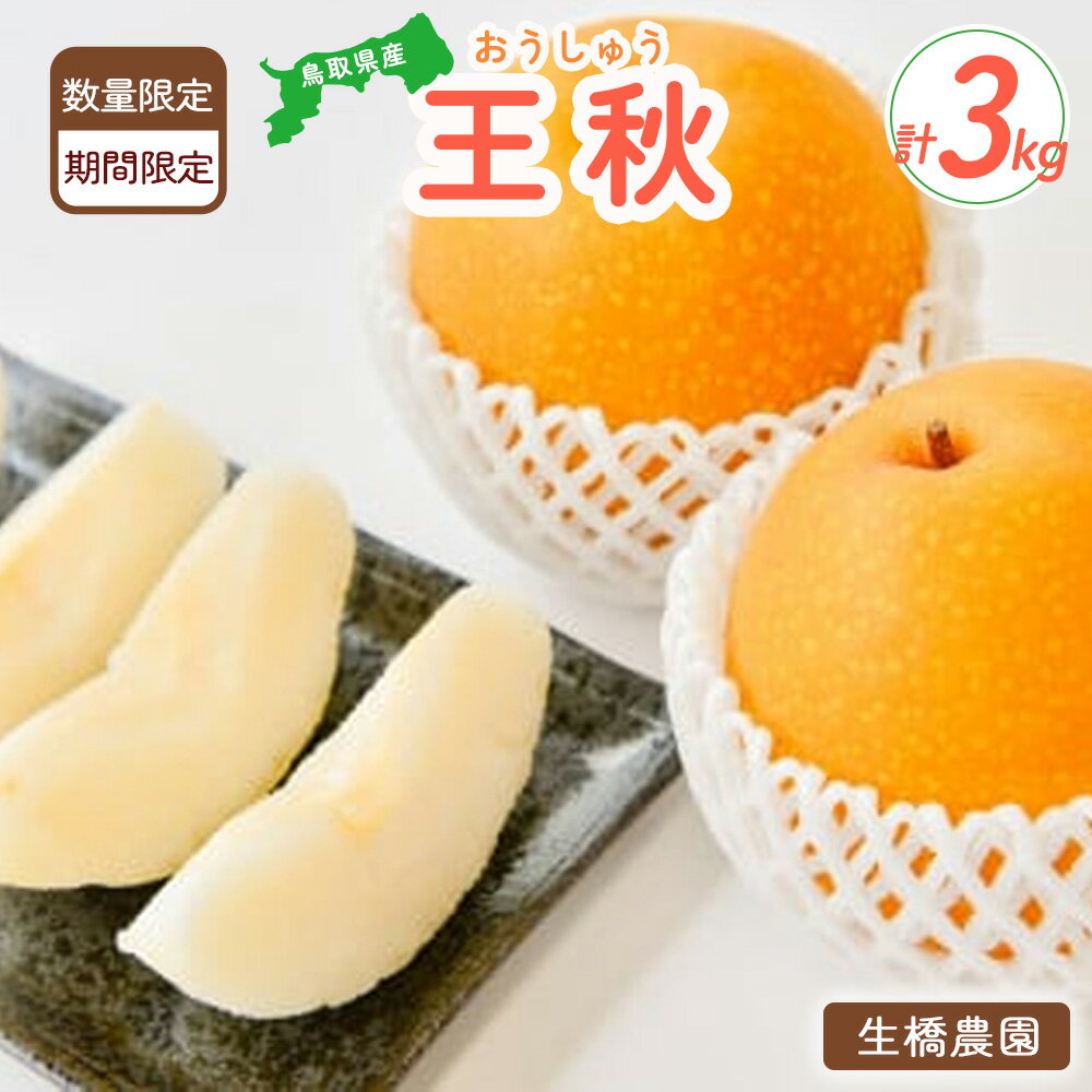 【ふるさと納税】 数量限定 王秋 3kg 【鳥取県産】（生橋農園） 梨 ナシ なし ブランド梨 王秋 おうしゅう 鳥取 果物 フルーツ 和梨 先行予約 数量限定 詰め合わせ