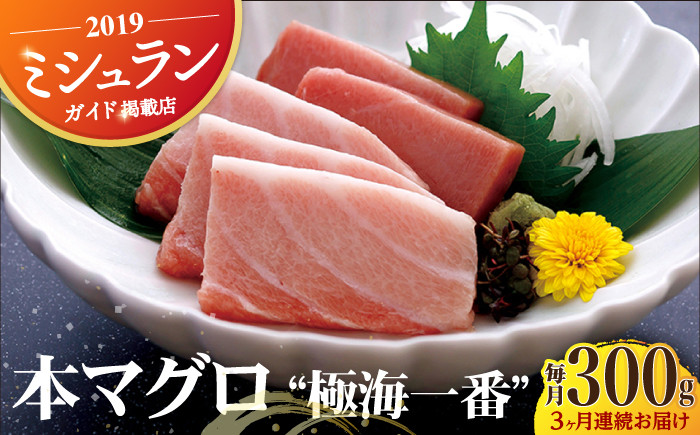 
            【全3回定期便】本マグロ 極海一番 計900g （約300g×3回） 平戸市 / 囲炉裏料理 エビス亭 [KAC135]
          