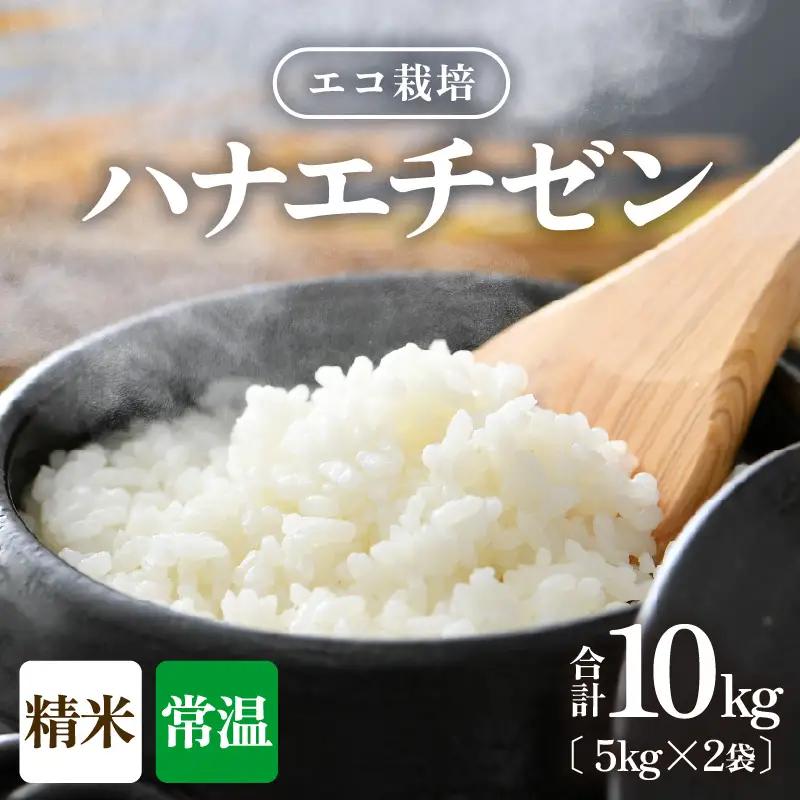【先行予約】【令和8年産 新米】 エコ栽培ハナエチゼン 精米10kg （5kg×2袋） ／ 鮮度抜群 福井県産 はなえちぜん ご飯 新鮮 白米 ※2026年9月上旬以降順次発送予定 [aw063-a020]