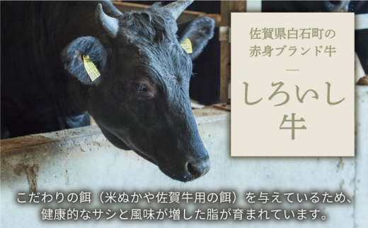 【牧場直送】【12回定期便】佐賀県産しろいし牛 ボリュームたっぷり手ごねハンバーグ 120g×10個【有限会社佐賀セントラル牧場】 [IAH059]